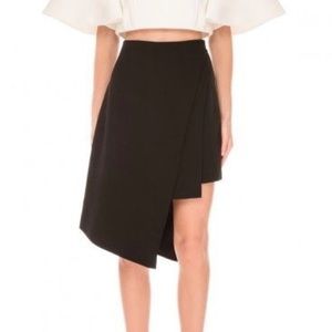 Cameo The Runaway Skirt in Black